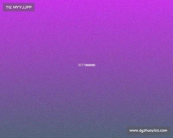 2017全国冰球锦标赛